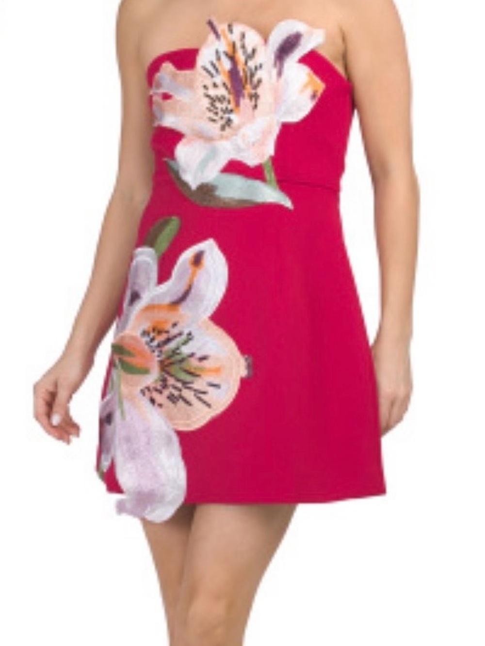 Dalia MacPhee Floral Fit-and-Flare Pink Strapless Dress size XL